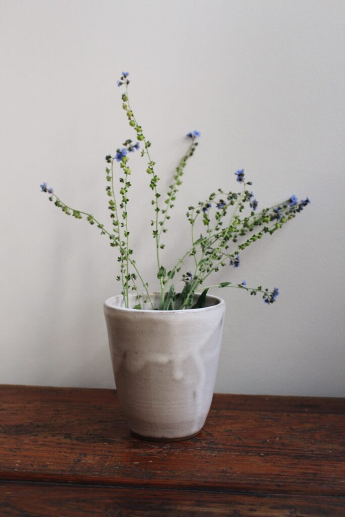 processed with vsco with a6 preset